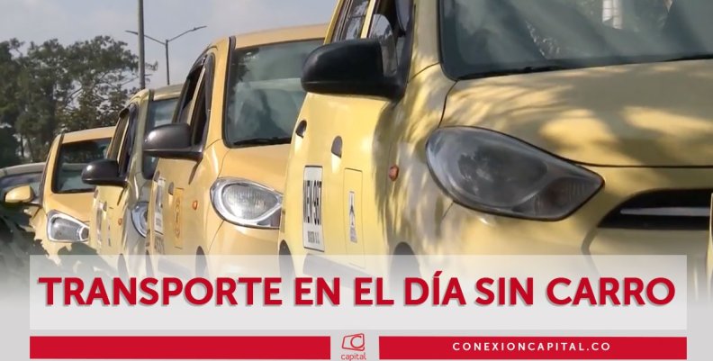 Taxistas en el Día sin Carro Taxistas en el Día sin Carro