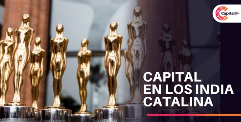Cómo votar para los Premios India Catalina Cómo votar para los Premios India Catalina