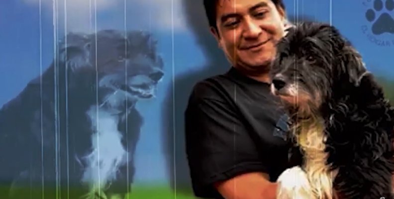 Conoce la Fundación El Hogar de Tuko que alberga cerca de 400 peluditos | Crónicas Capital Conoce la Fundación El Hogar de Tuko que alberga cerca de 400 peluditos | Crónicas Capital