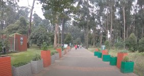 Bosque San Carlos