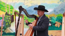 Hombre tocando el arpa llanera 