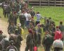 170206_25_MovilizacionFarc_1800