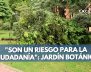 arboles-min