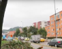 Tala de árboles Suba