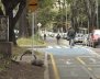 ciclorutas_bogota