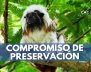 COMPROMISO-DE-PRESERVACIÓN