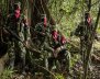 eln-movilizado