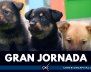 gran-jornada