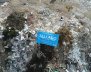 image_gallery