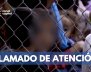 LLAMADO-DE-ATENCIÓN