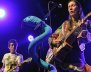 Aterciopelados