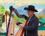 Hombre tocando el arpa llanera 