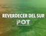 Proyecto "Reverdecer del sur"
