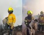 Bomberos rescatando animales en un incendio en el cerro El Cable.