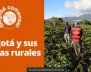 Bogotá y sus zonas rurales