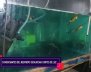 Imagen de una tienda de animales en la Plaza Restrepo
