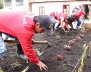 Personas cultivando la tierra