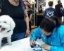 Vacunación perros y gatos contra la rabia.