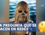 Chewbacca