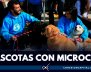 Jornada mascotas