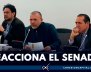 Comisión de Paz
