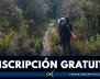 recorridos-guiados