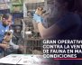 Gran operativo contra maltrato animal en Plaza El Restrepo