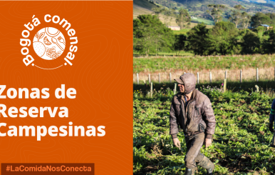 Bogotá Distribuye (3)