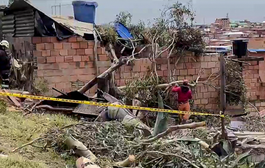 caída arbol Soacha