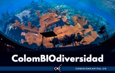 La naturaleza se toma el Planetario de Bogotá