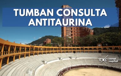 consulta-antitaurina