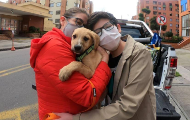 Inició la IX semana de Protección y Bienestar Animal
