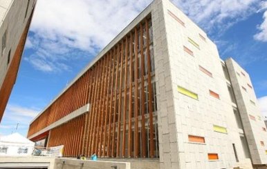 Cuerentena_Universidad