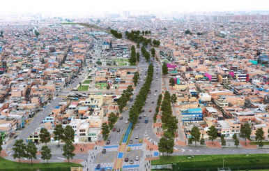 Avenida Guayacanes