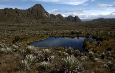 Páramo de Sumapaz