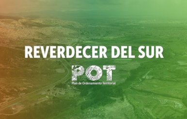Proyecto "Reverdecer del sur"