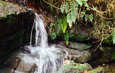 Quebradas en Usaquén
