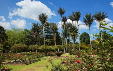 Jardín Botánico