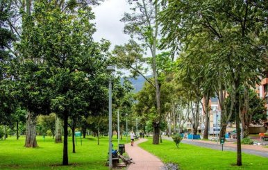 Parque rodeado de árboles