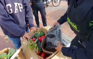Hombre capturado por intentar  transportar estupefacientes en cajas de cartón 