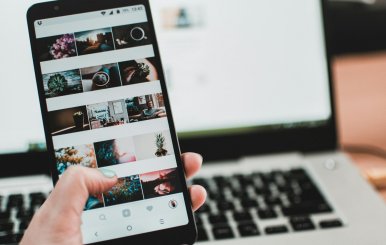 Un celular con imágenes de plantas y al fondo un computador encendido