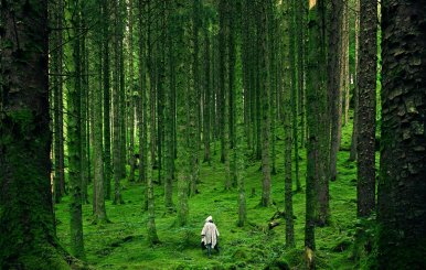 Naturaleza