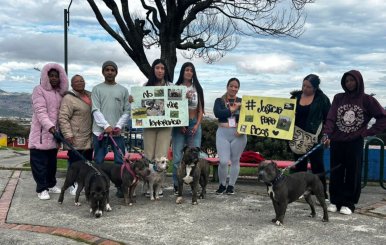 Personas protestando en San Cristóbal por la muerte de Picos, un perro