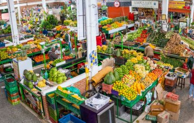 Imagen panorámica de la plaza de mercado del Quirigua