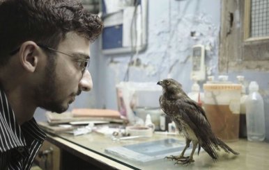 Escena de una película sobre conciencia ambiental