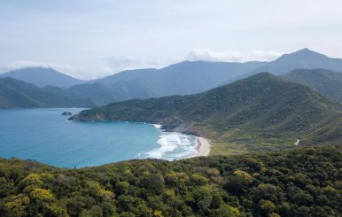Paisaje colombiano: mar y selva 