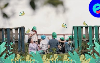 Organizaciones juveniles por el cuidado del medio ambiente