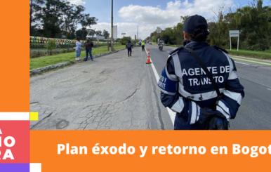 Agente de tránsito en carretera