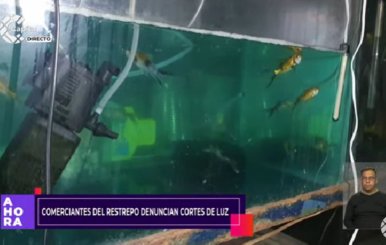 Imagen de una tienda de animales en la Plaza Restrepo