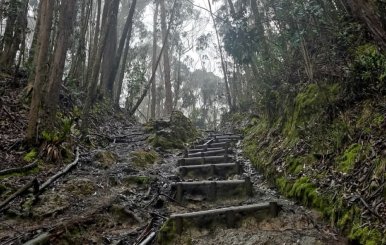 Foto: Alcaldía Mayor de Bogotá. Senderismo en Bogotá